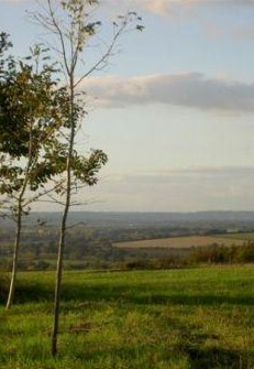 Fairspear Natural Burial Ground, Oxfordshire
